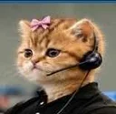ponscat
