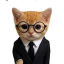 WallStreetKitty