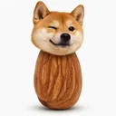 NutIN