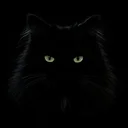 Invisible Cat