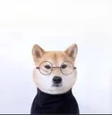 iNu