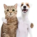 Pill Your Friends