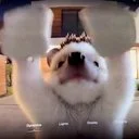 Rear Camera Rizo