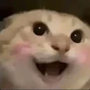 哈基米