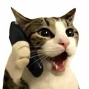 HELLO