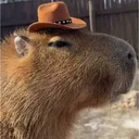 Capy Wif Hat