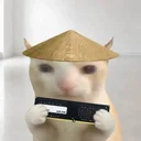 RAMCAT