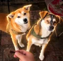 Kugen & XiaoHuang