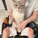 Kung Fu Fighting