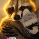 Buddy The Trash Panda