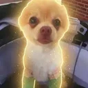 Justice for Louie