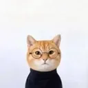 Anti inu