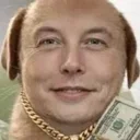 1T