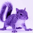 Purple Squirrel