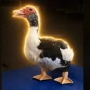 Stu The Duck