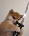 shibana