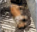 Justice For Cinder Blocks Dog