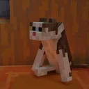 Pogo