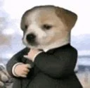 Dog In A Suit