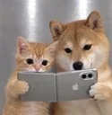 DUO