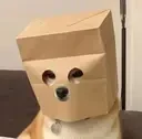 Anonymous Dog