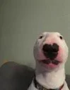 Walter