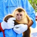 Space Monkey