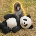 ノブ