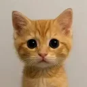 Milo