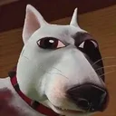 Renderdog
