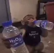 apewifH₂O