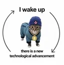 zakura cat