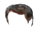 Trump Hair