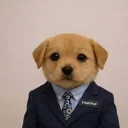 startpup