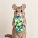 Pack Rat