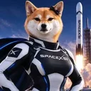 Sexy Inu