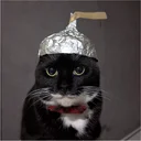 The Tinfoil Cat