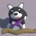 Project Husky
