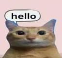 hello