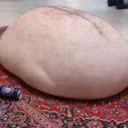 The Blob