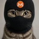 Masked Cat