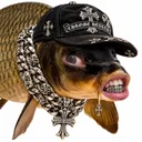 Larp