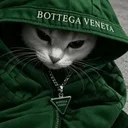 Bottega Cat