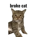 brokecat