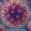 Shamonda virus