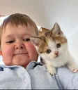 Hasbulla's Cat