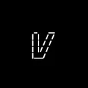 V Coin