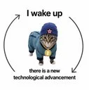 zakura cat