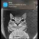 motion