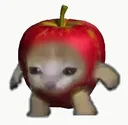 Apple Cat